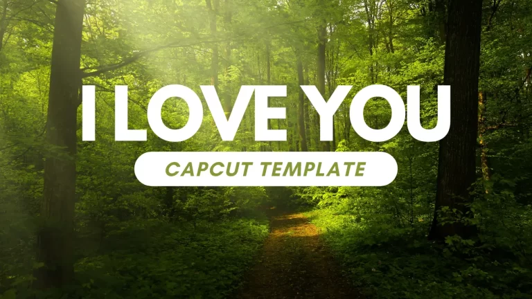 Latest I Love You Capcut Template Links 2024
